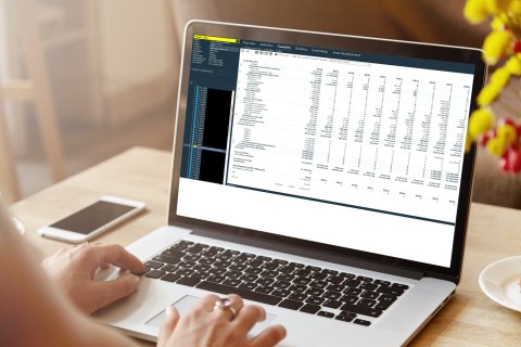 Area planning cash flow metric software management