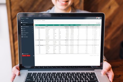 Screenshot portfolio overview grouped per assets.