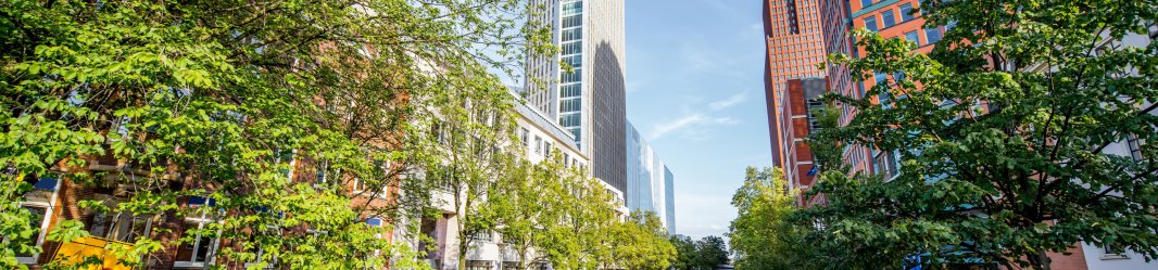 Tall buildings next to Dutch canals with trees