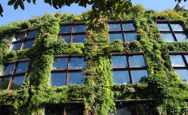 Biophilic offices enhance workplace experience and enforce sustainability management