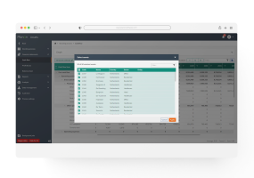 Screenshot of software showing a portfolio cashflow screen.