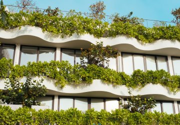Building with green and healthy plants around its windows.