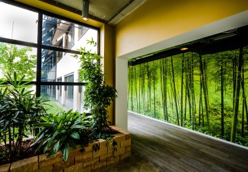 Building hallway with sustainable, green wallpaper and plants.
