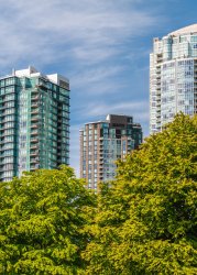 Tall office buildings surrounded by trees.