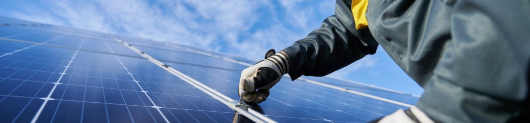 A person working on the maintenance of solar panels.