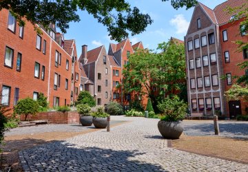 Cozy buildings in residential zone