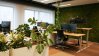 Sustainable green office space