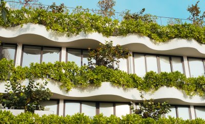 Building with green and healthy plants around its windows.