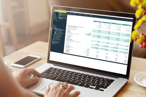 Sales revenue indexation, software management
