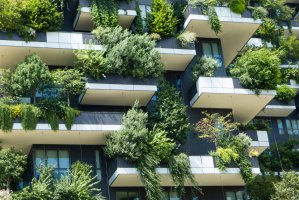 Trees and plants growing on balconies of a building as a green facade or vertical garden.