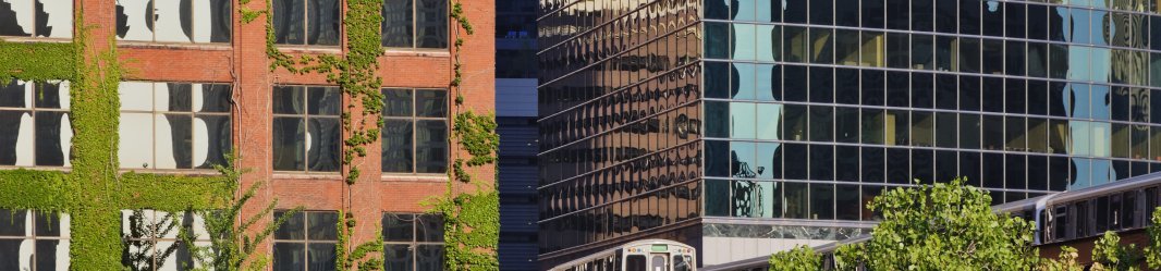 Office buildings along the Chicago river