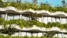 Building with green and healthy plants around its windows.