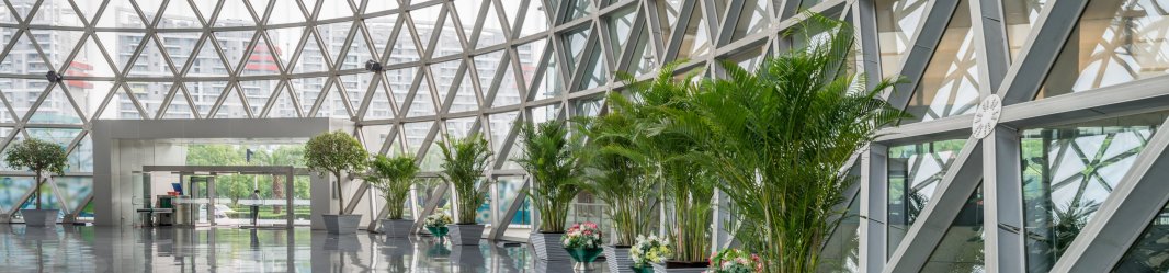 A dome building with glass windows and roof and green plants around.