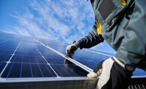 A person working on the maintenance of solar panels.