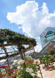 Dehner Blumenpark's lush plant displays and metal gazebo under a bright blue sky with white clouds.
