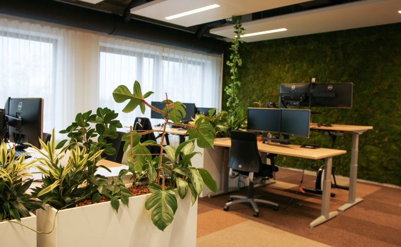 Sustainable green office space