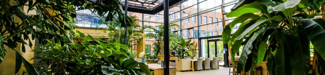 Sustainable greenhouse in office building with plants.