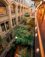 Beautiful green trees in a passage of a building with an orange glow..