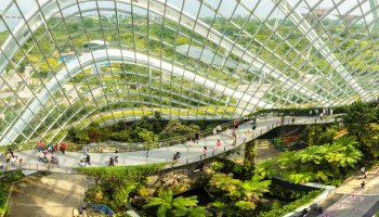 Walkway in greenhouse in Singapore