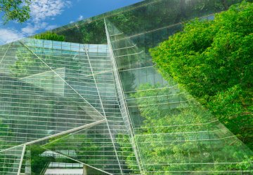 Sustainable glass office building with trees for reducing carbon dioxide.