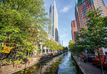 Tall buildings next to Dutch canals with trees