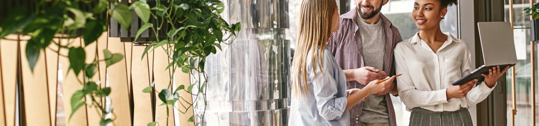 Group collaborating in modern office with plants, laptop and notes.