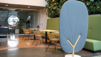 Example of a pleasant productive, collaborative workspace.