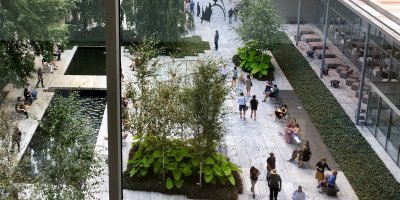People walking in the green office