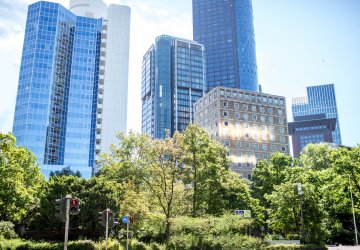 Tall buildings in the back of a row of trees.