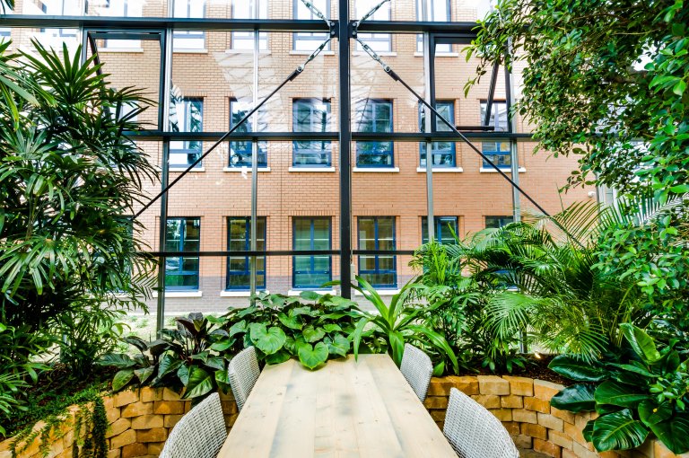 Workspace between plants at Greenhouse