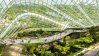 Walkway in greenhouse in Singapore