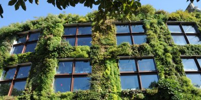Biophilic offices enhance workplace experience and enforce sustainability management