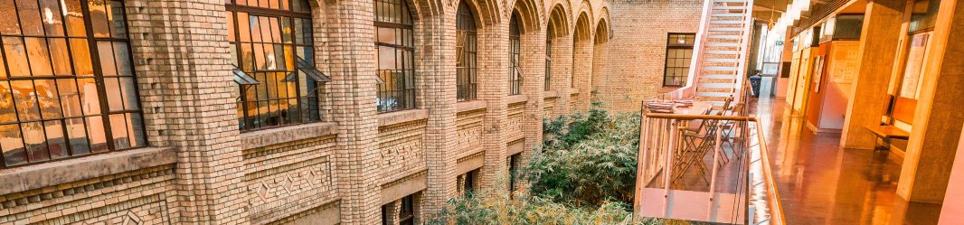 Beautiful green trees in a passage of a building with an orange glow..