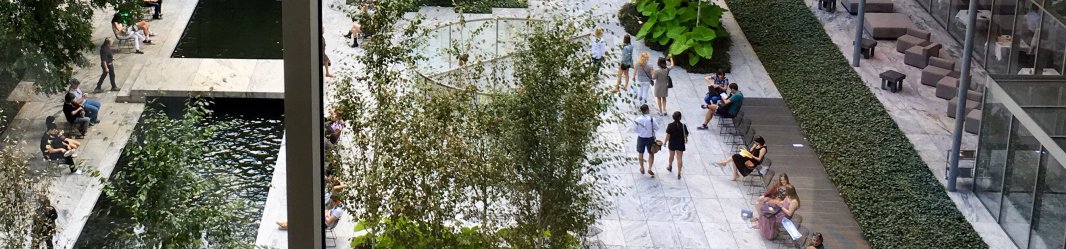 People walking in the green office