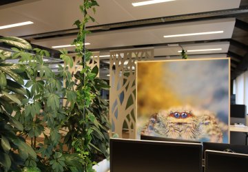 Planon workspace