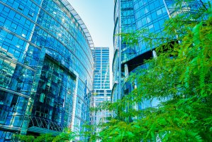 Modern building with windows next to a green tree.