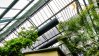 Roof of greenhouse with HVAC maintenance installation.