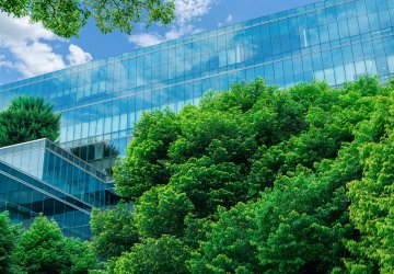 Buildings with many windows next to green trees.