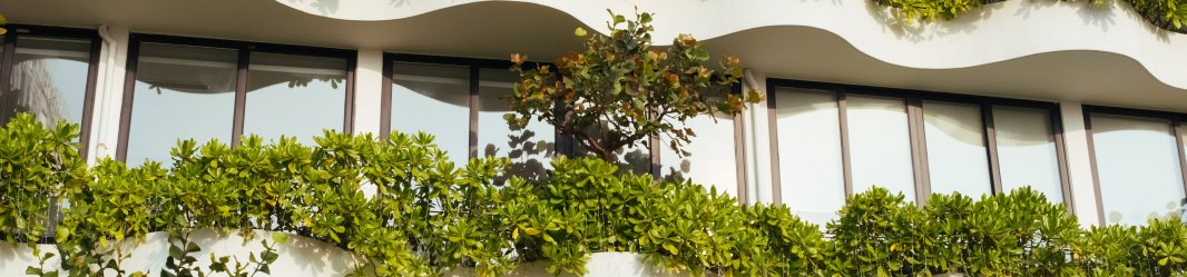 Building with green and healthy plants around its windows.