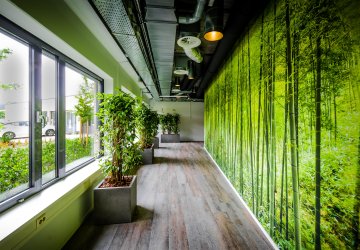 Building hallway with plants and green, sustainable wallpaper.