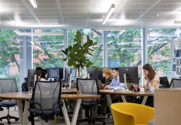 Open office with employees working at desks, large windows, and greenery visible outside.