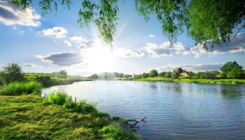 Enhance working experience with sustainable surroundings