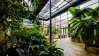Sustainable greenhouse in office building with plants.