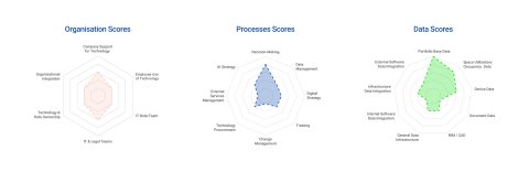 Radar charts showing organization, process, and data digital maturity scores.