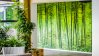 Sustainabile office hallway with plants and green wallpaper.