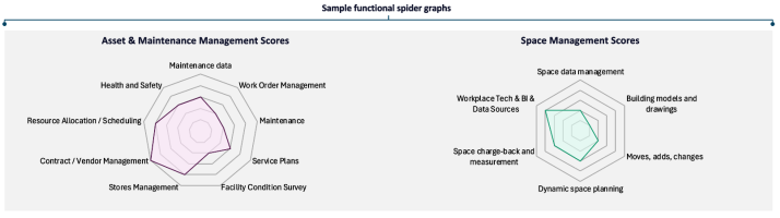 Graphic of FM maturity model sample