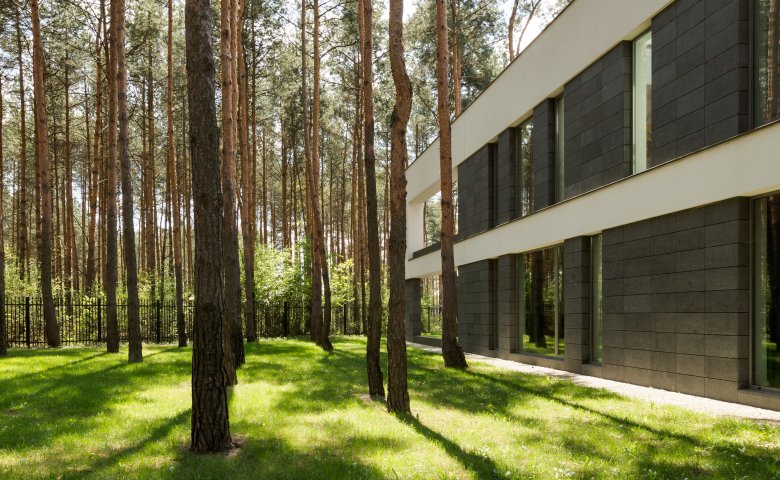 Building next to forest