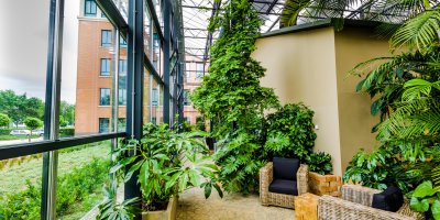 Greenhouse with meeting spaces.