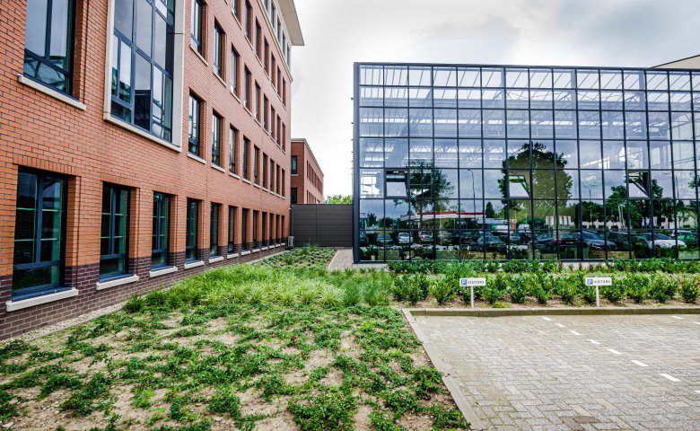 View on office building, greenhouse and garden