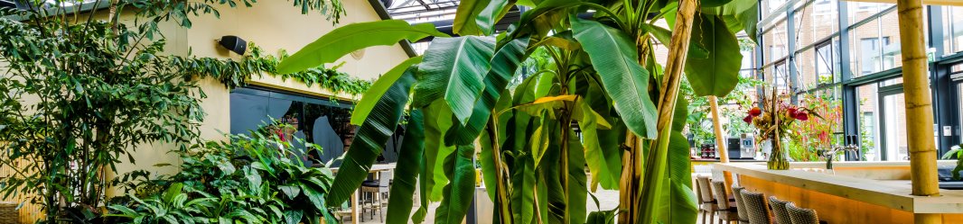 Green office building with plants.